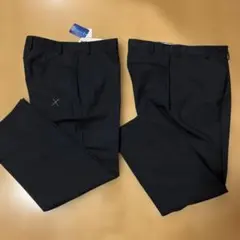 Item thumbnail for item 06e953d8-942e-435b-b844-99adf7af734c