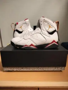 Nike Air Jordan 7 Retro Cardinal