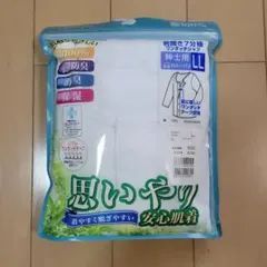 Item thumbnail for item 1ea2e507-32c4-4c11-bf98-226853ffafc7