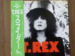 レコード新品! T.Rex ピクチャーレコード EU限定重量盤 2015年発売 2026年最新】t-rex cdの人気アイテム - メルカリ