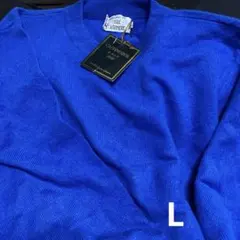 カシミヤ Vネック ニット 長袖 青　タグ付き未使用品　L