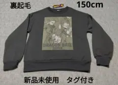 Item thumbnail for item 0e62fafb-f099-47c5-9870-38734c84014f