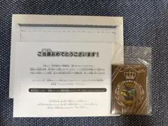 新品未開封 初代 妖怪メダル ブシニャン 大復活祭 未開封 レジェンド