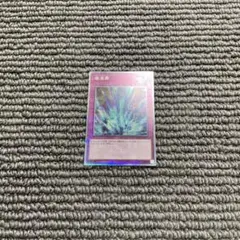 激流葬