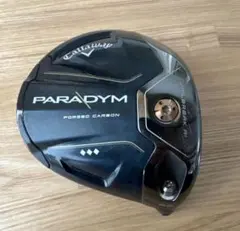 2026年最新】パラダイム ドライバー ヘッドの人気アイテム - メルカリ