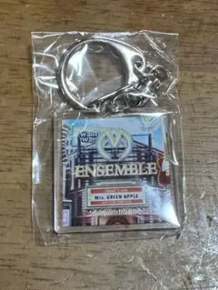 Mrs. GREEN APPLE アルバムアクリルキーホルダー