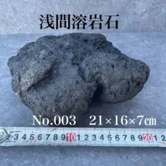 浅間溶岩石 黒 21cm アクアリウム レイアウト No.003 浅間石　特大