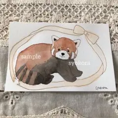 原画　水彩画　レッサーパンダ　リボン　ポストカード　手描き　オリジナルイラスト
