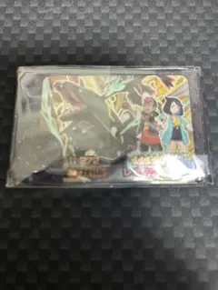 ワ*D様 ポケモンフレンダ　スーパートレジャー　レックウザ　黒　六英雄