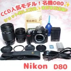 ❤️ダブルスロット搭載❤️Nikon D300s シングルレンズセット コスパ