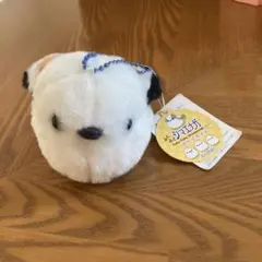 Item thumbnail for item 439fa804-1051-4756-9772-eba66e1bd6a0