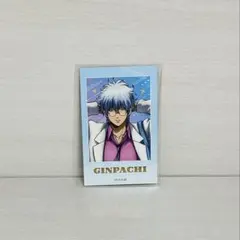 銀魂 3年Z組 銀八先生 ミニフォトカード 坂田銀八