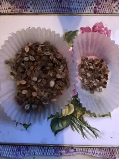 ザラ ウサギ様 リクエスト 2点 まとめ商品