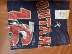 中谷潤人 WBC IBF タイトル統一戦 Tシャツ 中谷潤人、初の統一戦Tシャツに