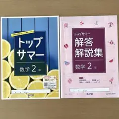 トップサマー 数学 2年 解答解説集付き　新学社 学習参考書のサムネイル
