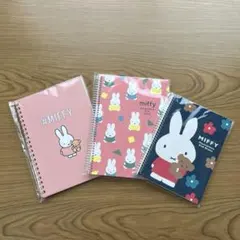 Rollbahn ミッフィー ポケット付メモ M 2冊セット - メルカリ