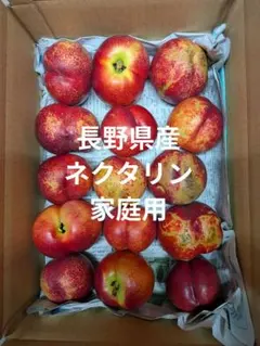 旬の果物　ネクタリン　家庭用のサムネイル