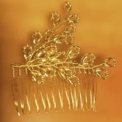 Item thumbnail for item c5dbcbae-5ecc-441f-9997-92ef5cb2c71b