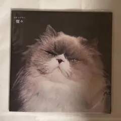 LPレコード カネコアヤノ　野音 2026年最新】カネコアヤノ 野音 レコードの人気アイテム - メルカリ