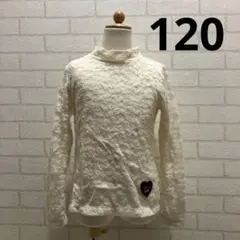 Item thumbnail for item 77868f43-7f14-4a5b-9993-e3e1b98ab211