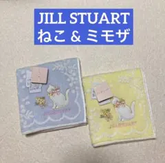 【新品タグ】ジルスチュアート タオルハンカチ 2枚組 ネコ猫ねこ 刺繍 ミモザ