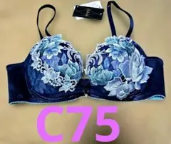 2026年最新】ワコールサルートc75の人気アイテム - メルカリ