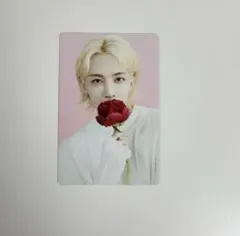 SEVENTEEN CAFE セブチ カフェ 韓国  トレカ ポカ ジョンハン