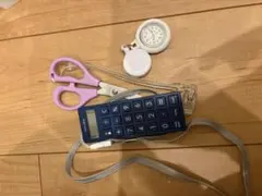 Item thumbnail for item 7227af60-f4b3-43b4-bfa5-8626db901a4e