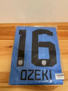 Item thumbnail for item 5c46020e-db0e-47b8-86a5-2a85bf951b77