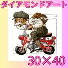 ダイアモンドアート 亀仙人 ドラゴンボール