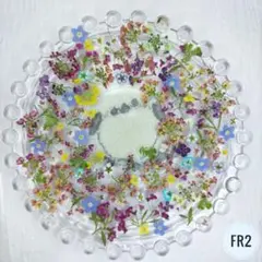 押し花素材　ミニミニ小花セット　アリッサム