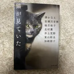 しびお様 リクエスト 2点 まとめ商品