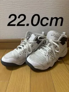 asics DUNKSHOT バスケットボールシューズ バッシュ 22.0cmのサムネイル