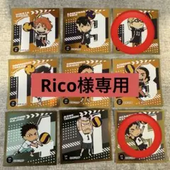 Ricoさま専用