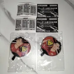 バレーボール男子日本代表 スポーツ選手