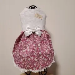 Item thumbnail for item 1ea90731-397f-4818-bdbb-9f41e93410a3