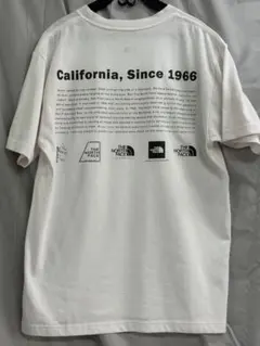 THE NORTH FACEノースフェイス ヒストリカルロゴティーLロゴTシャツ