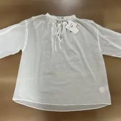 Item thumbnail for item 829773d2-60d4-40c6-b3d5-394dcde15fb8