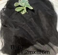 B 67 チュールレース