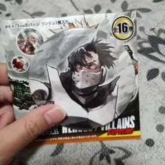 ヒーロー・ヴィラン 缶バッジ 75mm 全16種