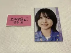 【美品】西巻染　デタカ　大