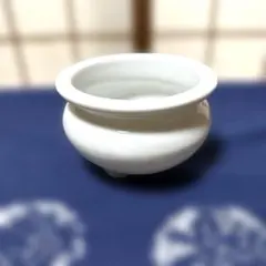 Item thumbnail for item 12f945bf-e23d-42e9-b726-233702d975eb