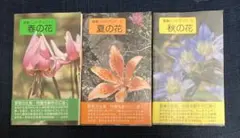 Item thumbnail for item b93ac4ec-ce85-4608-a1dd-3259b3071471