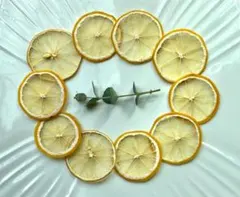 ta-ta様専用、ドライフルーツ、レモン、ライム、素材