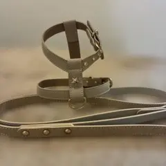 Item thumbnail for item b2731868-2706-493b-a6ae-1ca326dc2820