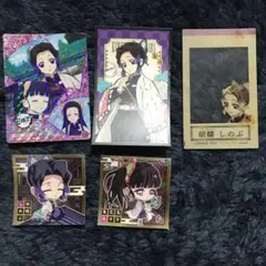 鬼滅の刃 胡蝶しのぶ栗花落カナヲセット