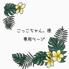 専用ページ