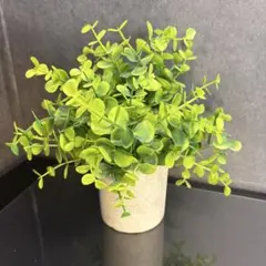 造花 観葉植物 インテリア フェイクグリーンのサムネイル