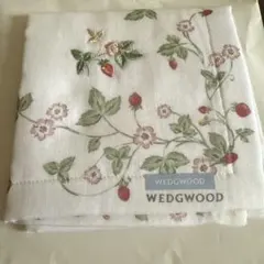 Item thumbnail for item c8affa17-90b2-4de0-af22-99c7fc308f21