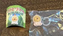 こびとづかん めじるしフレンズ ガチャ　カクレモモジリ　訳あり　初期不良
